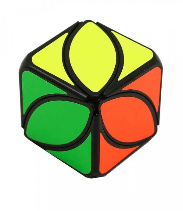 Ivy cube puzzle
